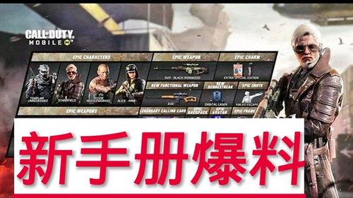 使命召唤最新手册皮爆料,揭秘最新手册皮爆料，全新玩法与角色等你探索