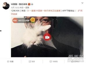 咸阳出轨爆料事件最新,真相大白，当事人身份及细节曝光